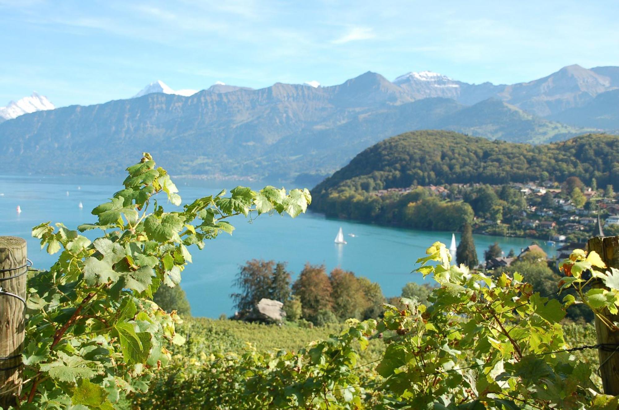 Hotel Seaside Spiez Kültér fotó